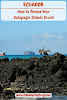 Ecuador How to Choose your Galapagos Islands Cruise // Wildlife Watching
