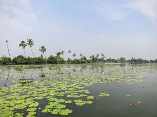Inde. Voyage sur la route de la moto de Kerala. Kumarakom Backwaters