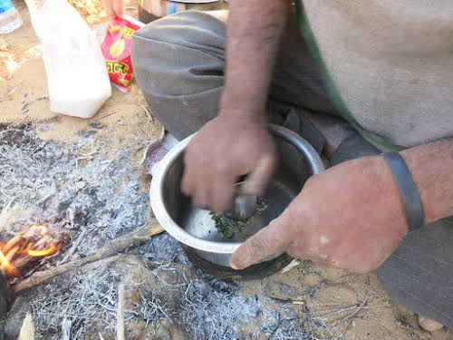 India. Rajasthan Thar Desert Camel Trek. Crunching fresh cardamon for the chai