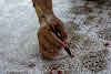 Indonesia. Crafts . Batik Hand Painting.