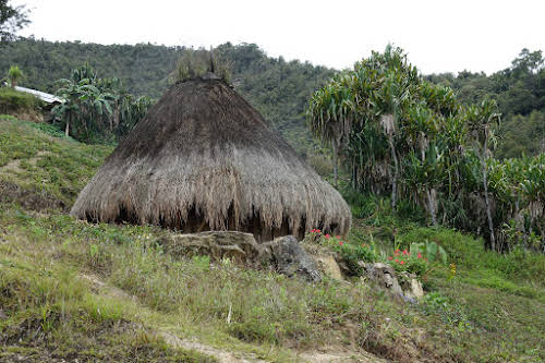 Indonesia. Papua Baliem Valley Trekking. A traditional Papua hut in Beligama
