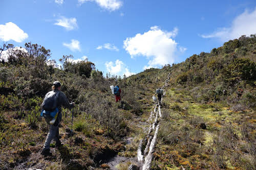 Indonesia. Papua Baliem Valley Trekking. Hiking the high plateau on the way to Beligama