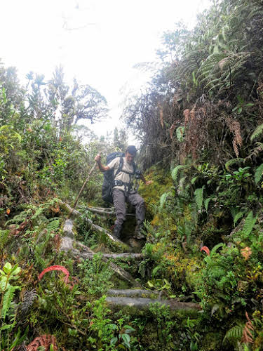 Indonesia. Papua Baliem Valley Trekking. Slippery ladder trail to Beligama