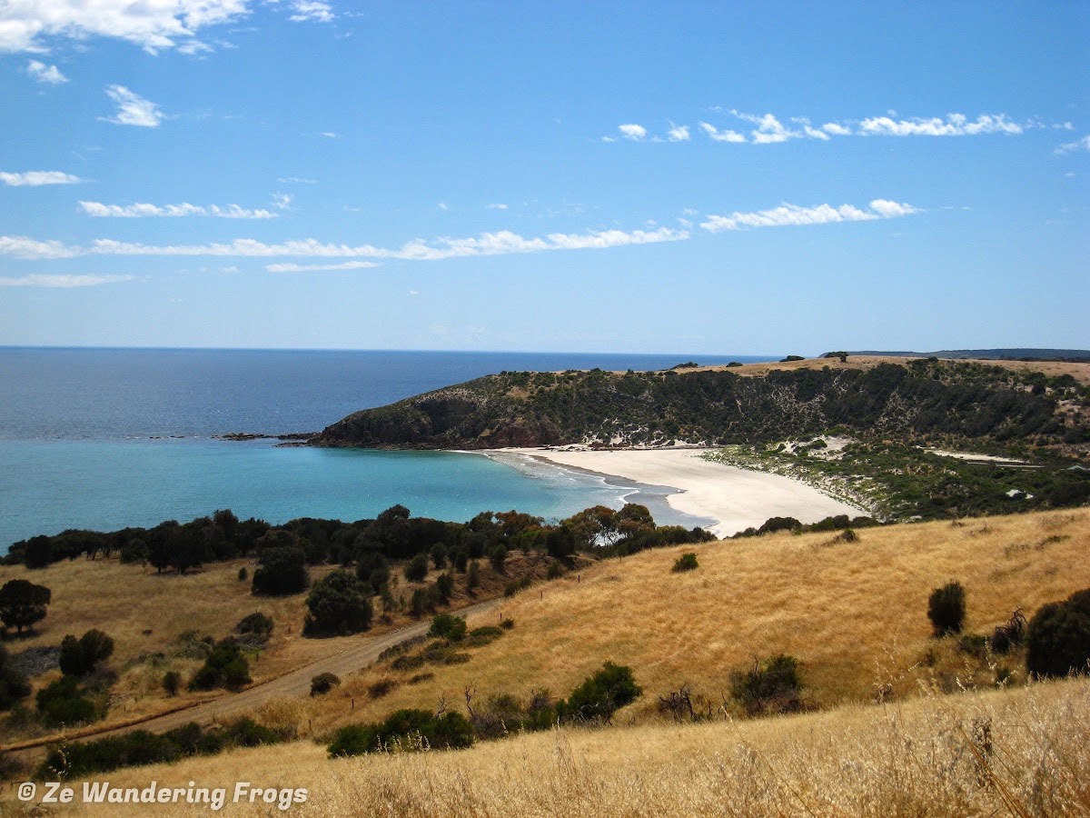 The Perfect 3Day Itinerary Kangaroo Island Tour What to Do and What