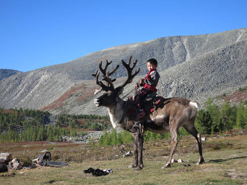 Ankha on a reindeer