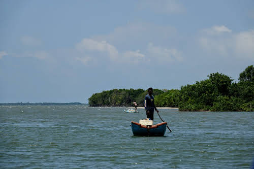 Sri. Lanka Wilpattu National Park . Fishermen between the bay and the mangroves