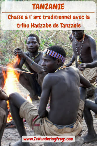 Chasse à l' #arc traditionnel avec la #tribu #Hadzabe // #Tanzanie // #AdventureTravel from Ze Wandering Frogs