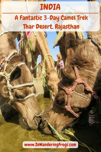  A Fantastic 3-Day Camel Trek in the Thar Desert, Rajasthan - Day 2