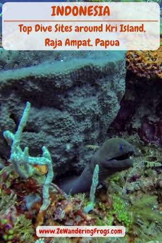 Top Dive Sites, Kri Island, Raja Ampat, Papua
