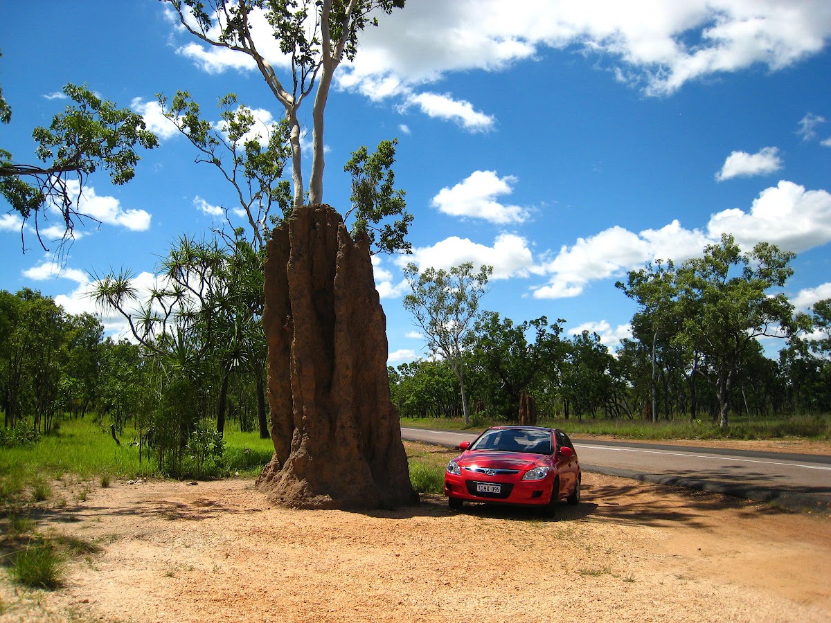 A 3-week Australia Itinerary: Road Trip National Parks and Wildlife Ze Wandering Frogs