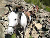 A Week as a Cowgirl Horseback Riding in Montana Ranch // Walking by the horse through the rock field