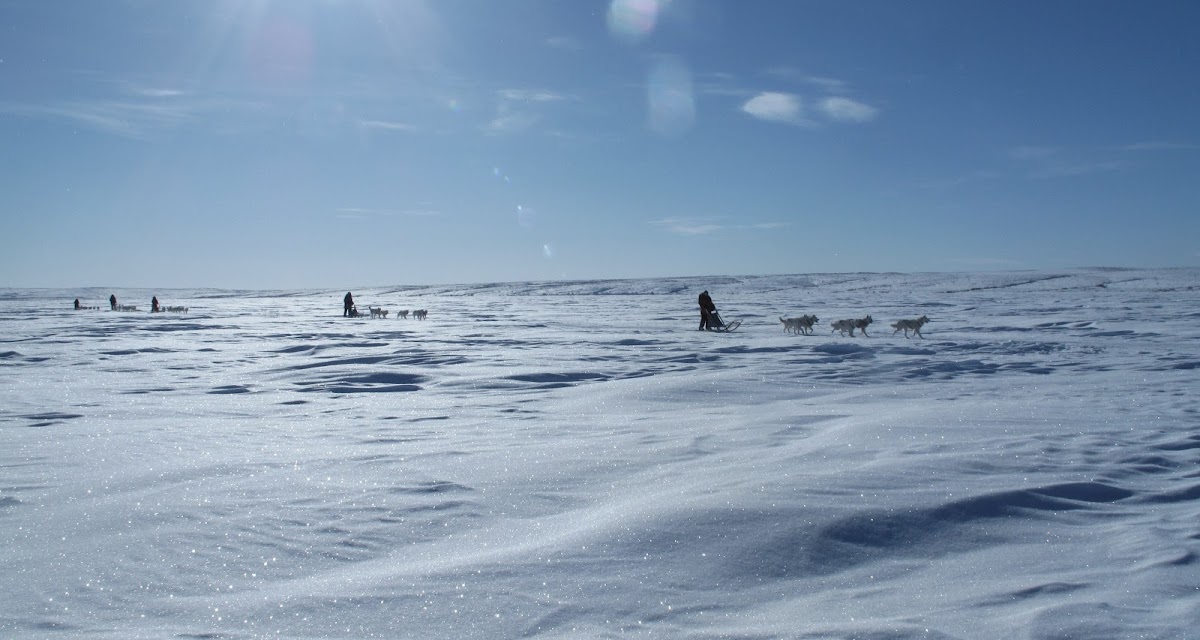 Path Across Frozen Arctic Tundra Was >> A Winter Adventure In The Arctic Tundra Camping Dog Sledding Ze Path Across Frozen Arctic Tundra Was >> A Winter Adventure In The Arctic Tundra Camping Dog Sledding Ze