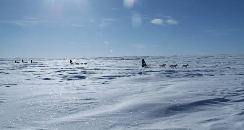 Arctic Canada Inuvik Winter Camping Tundra Dog Sledding // Sledding across a frozen lake
