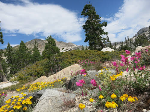 Best Adventurous Things to Do In California // Spring hiking in Desolation Wilderness