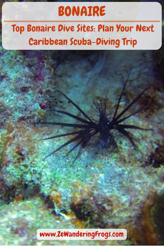  Bonaire Dive Sites
