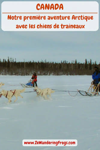  #Canada // Premiere Aventure #Arctique #Chiens de #Traineaux // #AdventureTravel from Ze Wandering Frogs