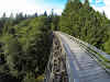 Crossing the first wooden bridge - Charters Creek Trestle