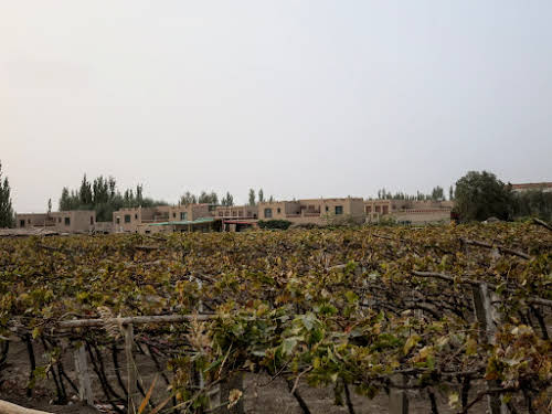 China. Xinjiang Turpan . Vineyards close to new house development