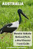 #Darwin to #Kakadu National Park #Australia // Jabiru Stork
