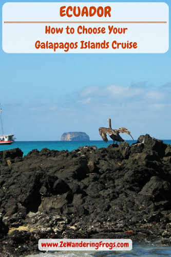 Ecuador How to Choose your Galapagos Islands Cruise // Wildlife Watching