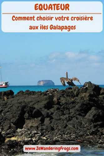  #Equateur // Comment choisir votre #croisiere aux #iles #Galapagos // #AdventureTravel from Ze Wandering Frogs