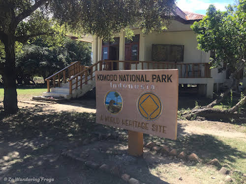 Facts about Komodo Dragons Island to Know Before Your Trip // Visitor Center