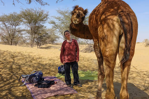 thar desert trip