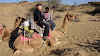 India. Rajasthan Thar Desert Camel Trek. First moments on Big Kona