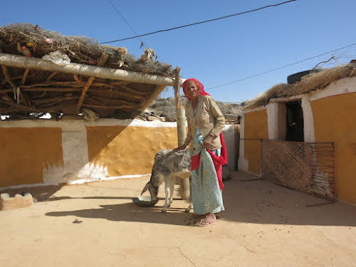 India. Rajasthan Thar Desert Camel Trek. Inside the front courtyard