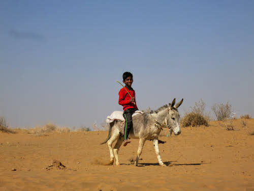 India. Rajasthan Thar Desert Camel Trek. Kid riding his donkey