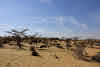 India. Rajasthan Thar Desert Camel Trek. Lunch stop at the Lokhri Dunes