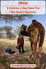 A Fantastic 3-Day Camel Trek in the Thar Desert, Rajasthan