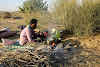 India. Rajasthan Thar Desert Camel Trek. Punja preparing our evening chai