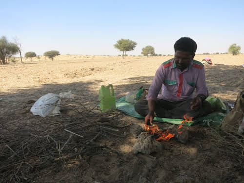 India. Rajasthan Thar Desert Camel Trek. Punja preparing the campfire for our lunch