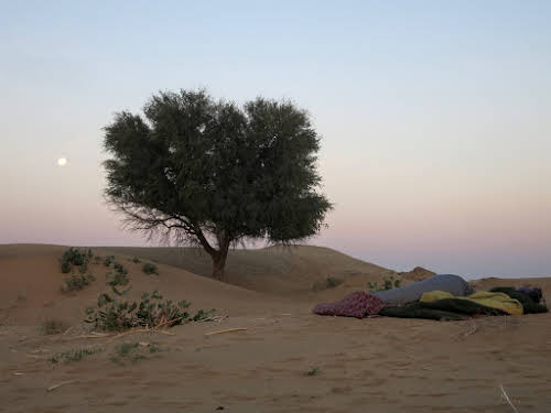 India. Rajasthan Thar Desert Camel Trek. Sleeping under the full moon