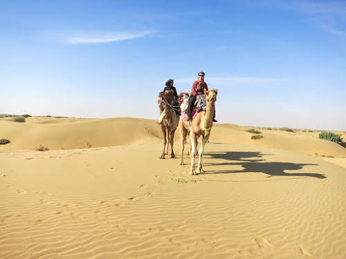 India. Rajasthan Thar Desert Camel Trek. Standing with our Camels on the Pukhar Sand Dunes
