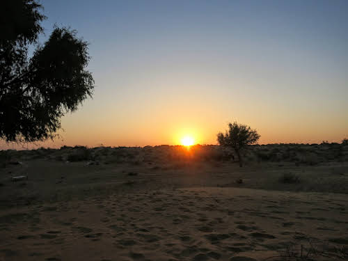 India. Rajasthan Thar Desert Camel Trek. Sunrise over the Thar Desert