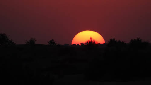 India. Rajasthan Thar Desert Camel Trek. Sunset over the Kadar dunes