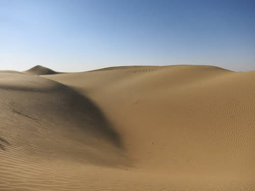 India. Rajasthan Thar Desert Camel Trek. The Kadar dunes under the afternoon sun
