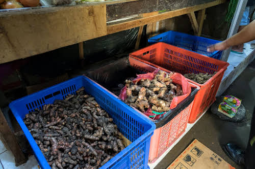 Indonésie. Cours de cuisine de Bali. Différents types de gingembre