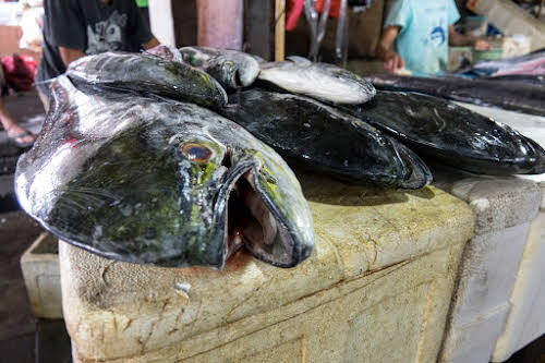 Indonesia. Bali Cooking Class. Fresh fish at the Jimbaran Fish Market