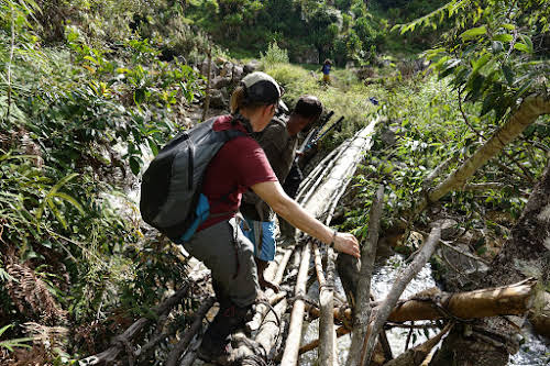 Indonesia. Papua Baliem Valley Trekking. Narrow wood log bridge to Sobaham