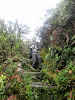 Indonesia. Papua Baliem Valley Trekking. Slippery ladder trail to Beligama