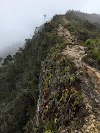 Papua Trekking in the Baliem Valley and Yalimo Country 