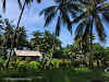 Indonesia Papua New Guinea Border Crossing // Passing by villages on our way to Vanimo, PNG