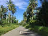 Indonesia Papua New Guinea Border Crossing // The lush jungle of PNG from Wutung to Vanimo