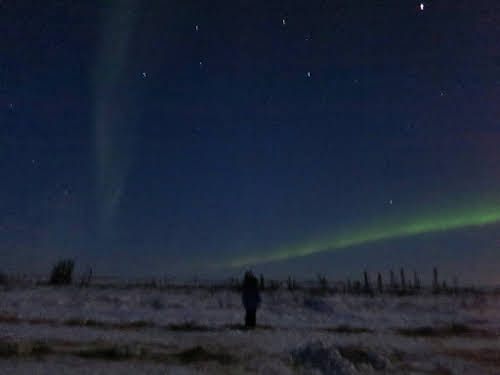 Bruno by the Northern Lights