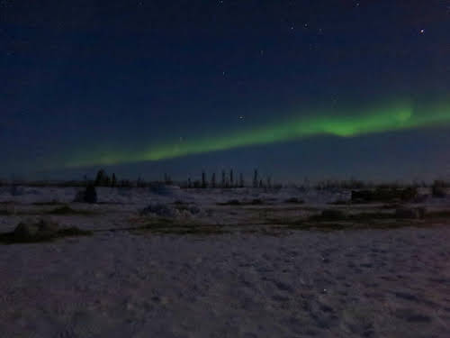 Northern Lights over Jimmy Lake camp