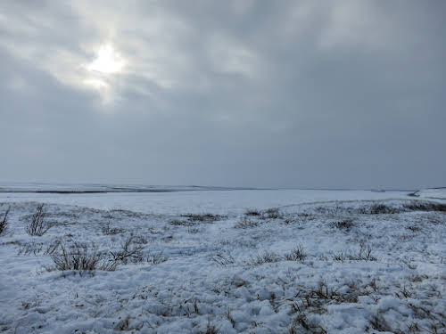 View of the frozen Mackenzie River from Richard Island