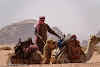 Jordan Desert Wadi Rum Desert // A Bedouin and his camels in Wadi Rum